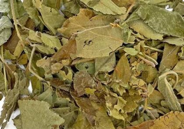 🍏 Apple Leaves