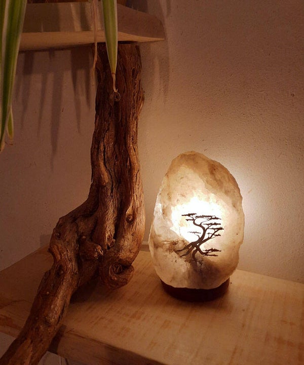 Grijze Zoutsteen lamp Bonsai