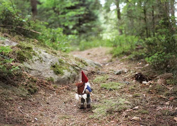 Kaart Anant, de avontuurlijke, nr 2
