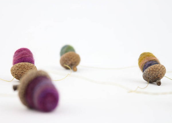 Eikelslinger gemêleerd zijdepaars