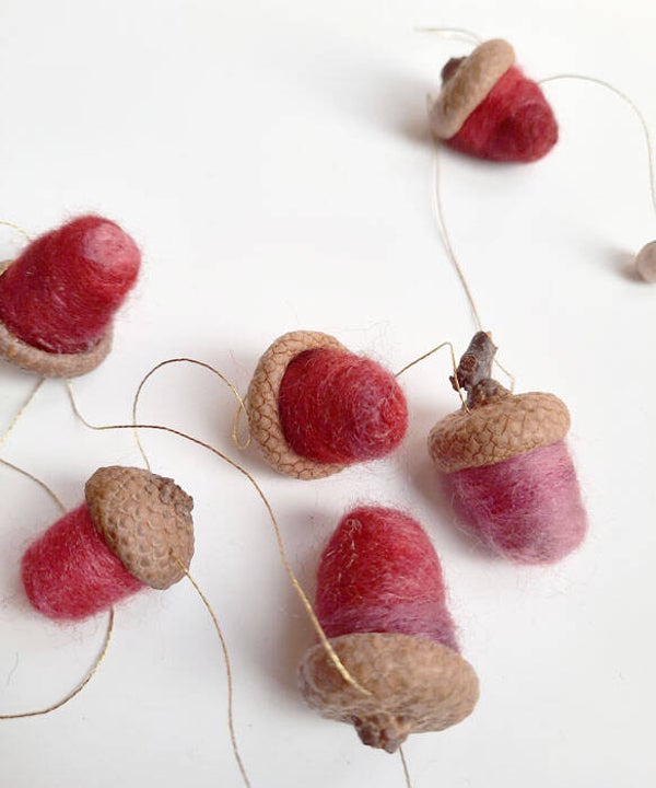 Eikelslinger gemêleerd zijderood