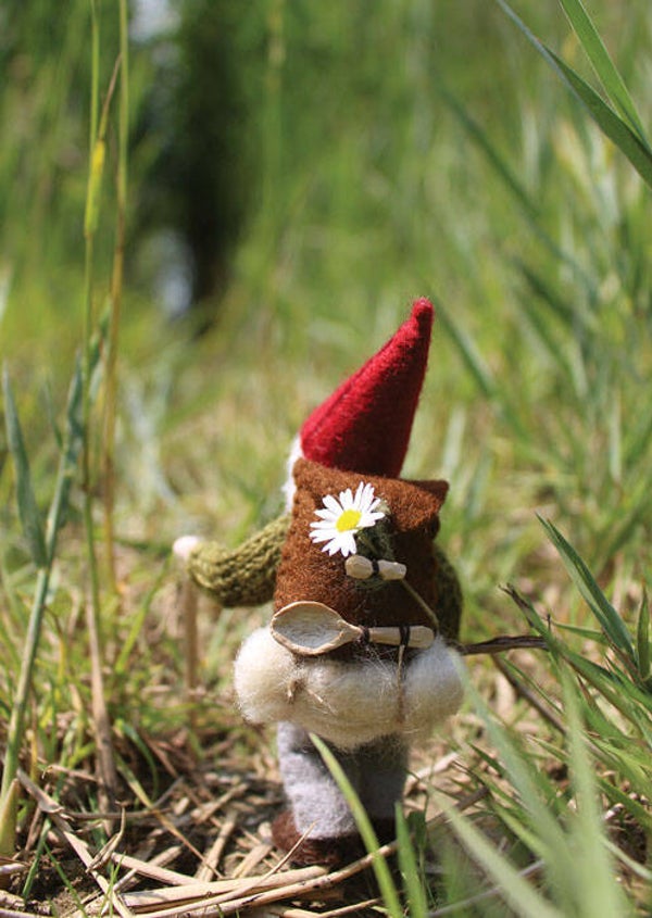 Mini-kaartje Foy de ontdekkingsreiziger nr 6