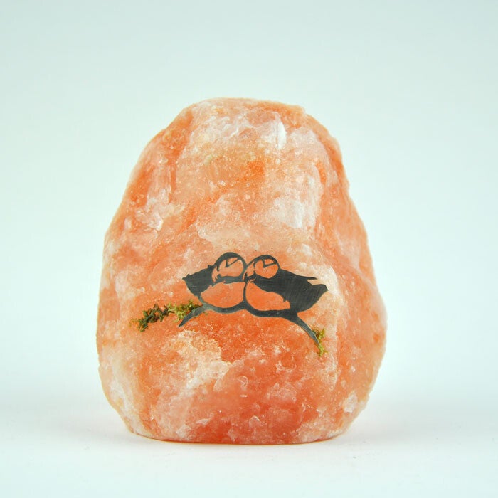 Zoutsteen nachtlampje Papegaaiduikers #1