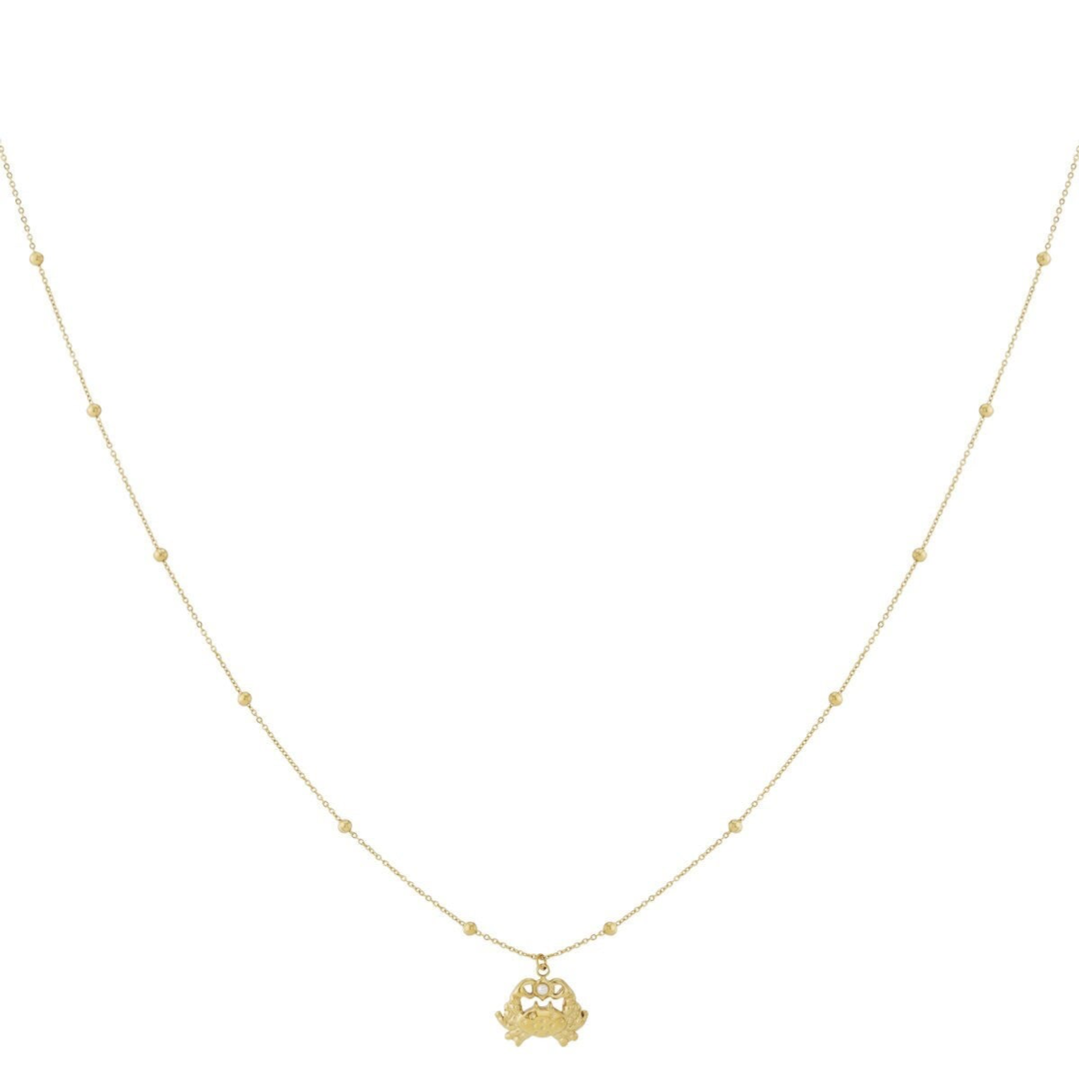 KETTING NOVI
