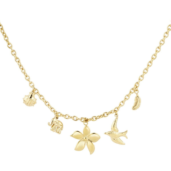 KETTING MOANA