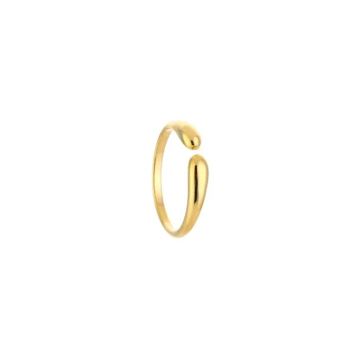 RING IDA