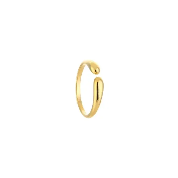 RING IDA