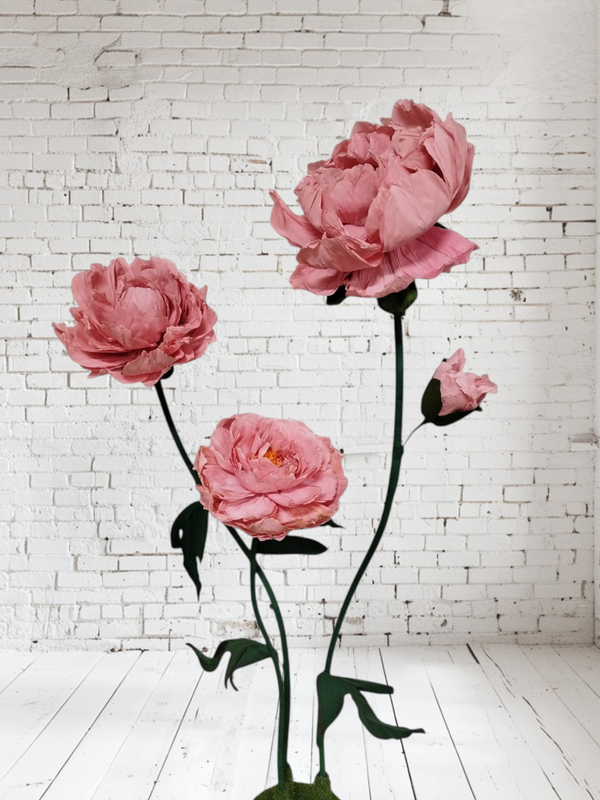 Trio de pivoines géante sur sol