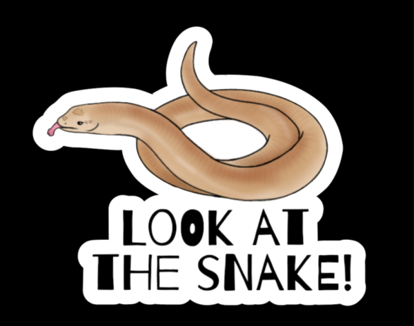 Reptile and Aquatic Animal Stickers