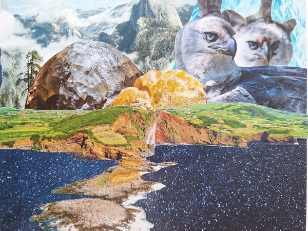 Beeldcollage 2.0.