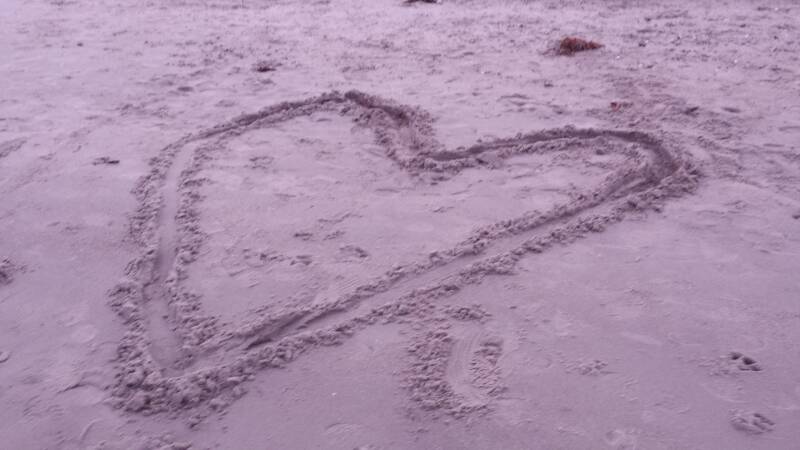 BSB | privates Foto für Bilderserie &quot;Strandfunde&quot; 