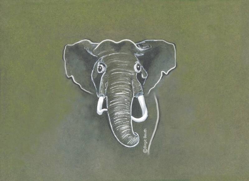 Logo für Spendenaktion neues Elefantenhaus | Kölner Zoo