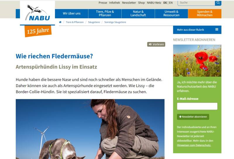 SEO-Optmierung | TOP Ranking