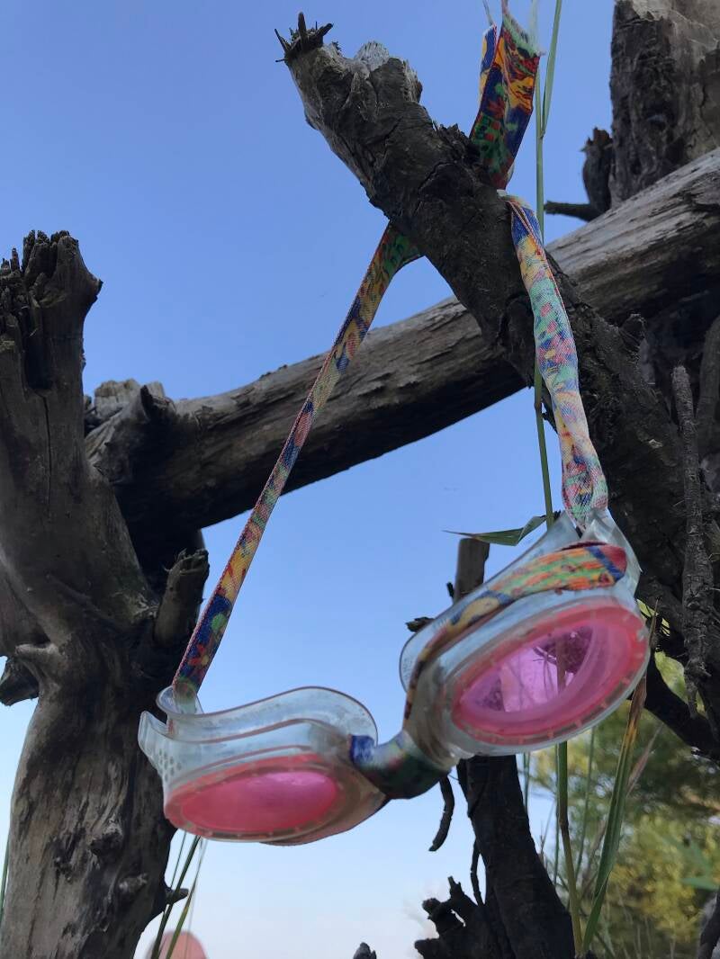 BSB | Projekt &quot;Strandfunde&quot;