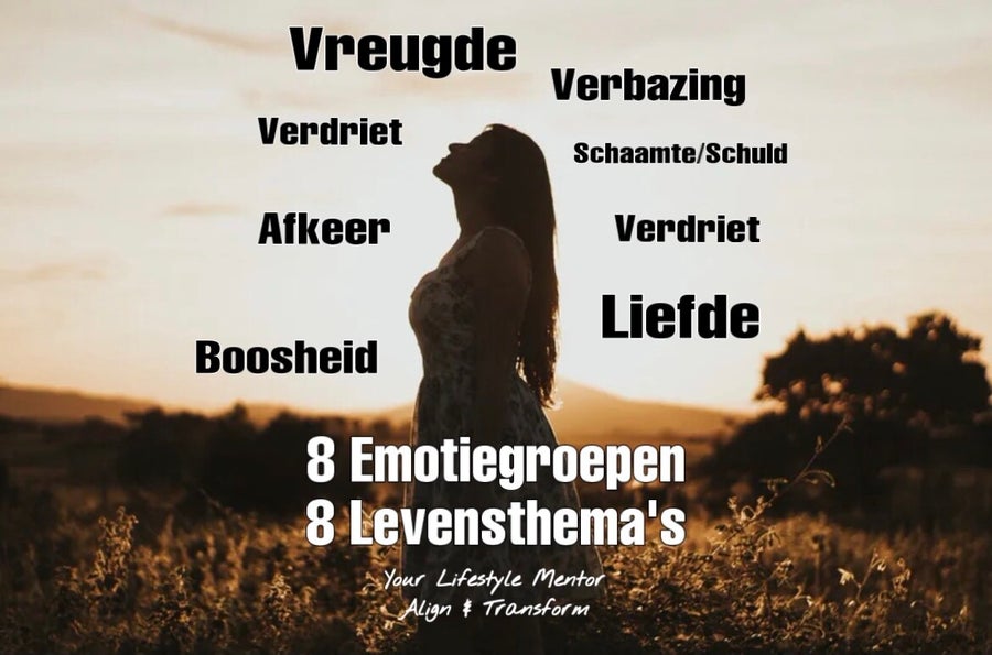 EEN LES IN EMOTIES: 8 Emotiegroepen & 8 Levensthema’s | YOUR LIFESTYLE