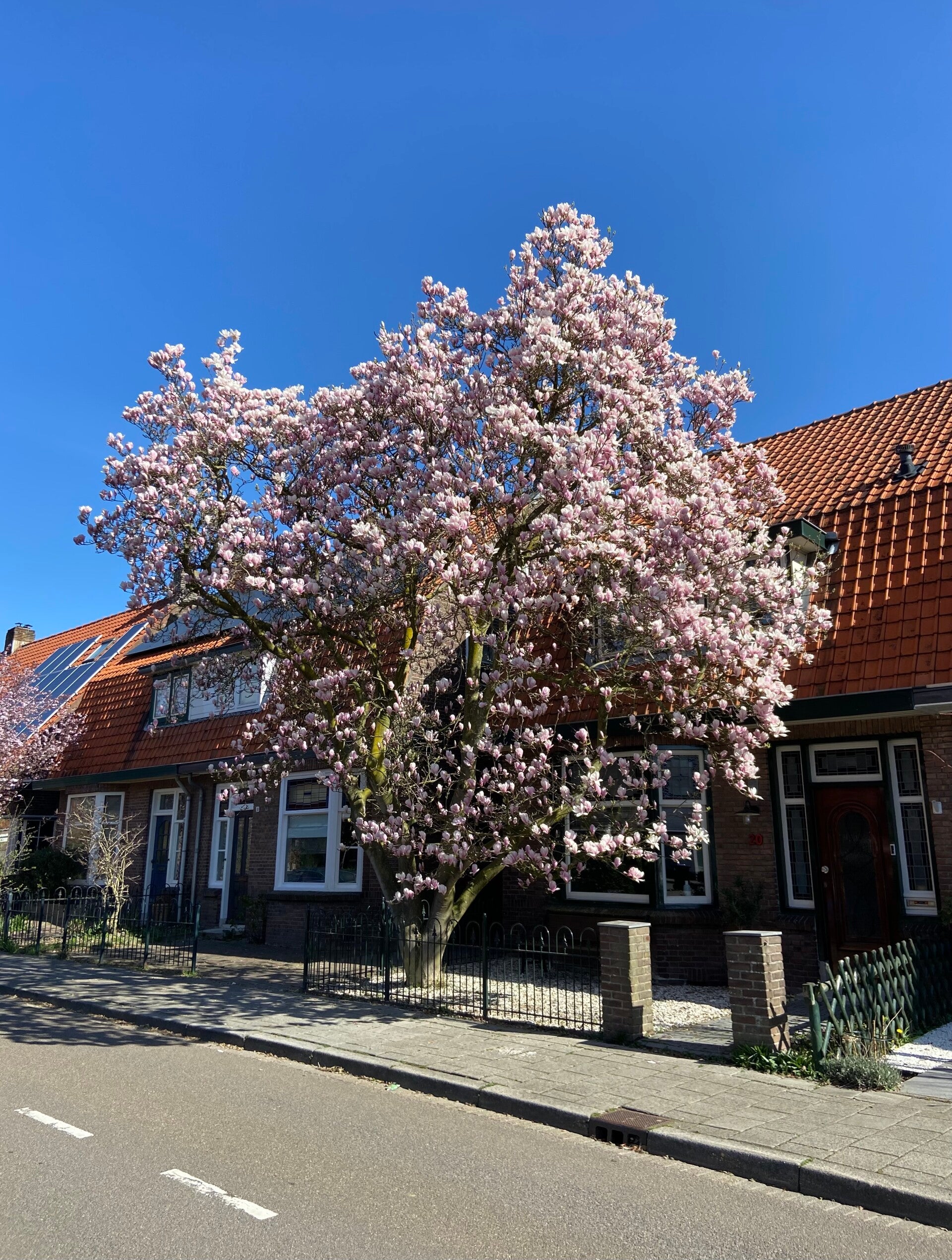 ingang praktijk