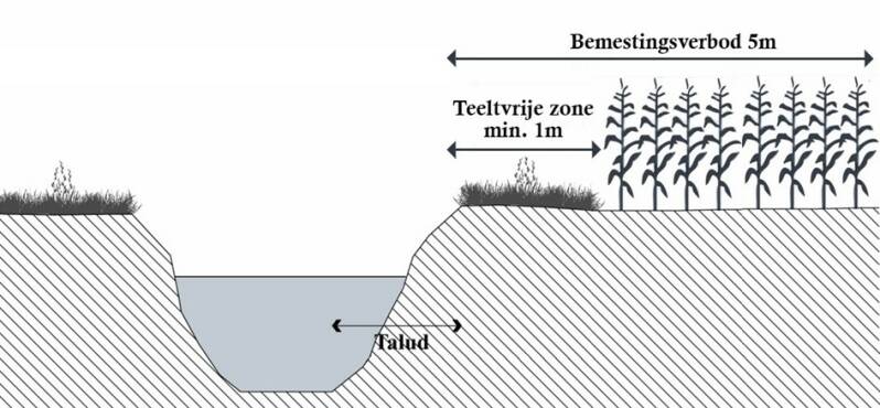 Eénmeterstreek/teeltvrije zone naast waterlopen