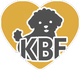 Korean Bichon Frise