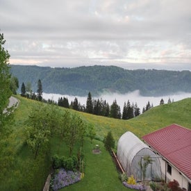 Vue depuis l'appartement