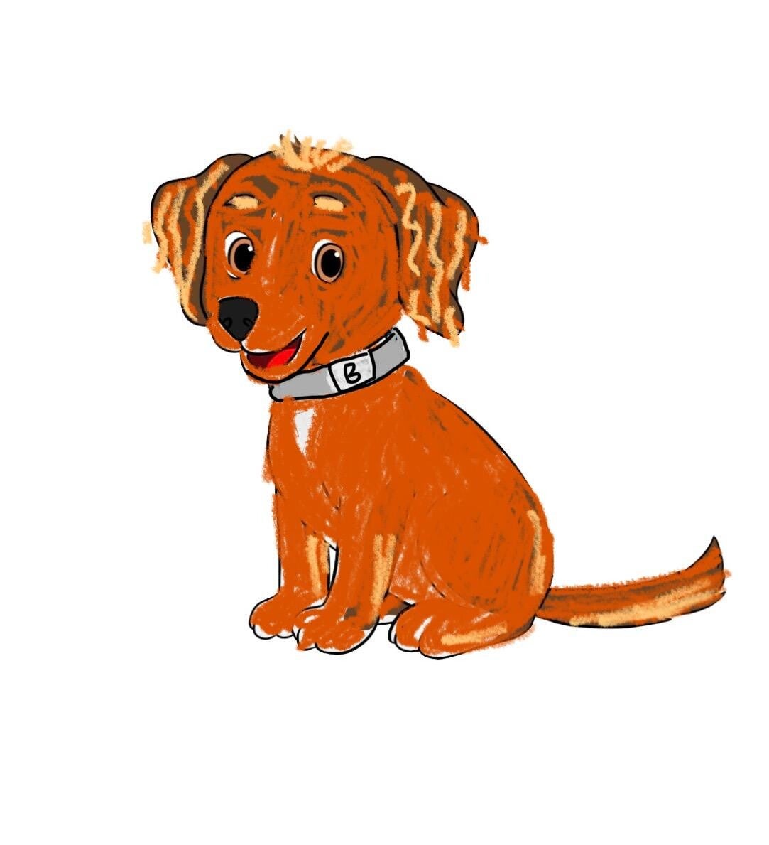 Introducing  Buudy Red Fox Cocker Spaniel Puppy