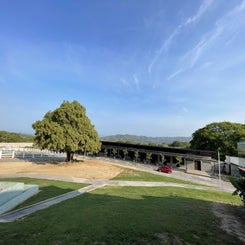 c7de8b01-072e-40e3-b842-de7fea1ee1a6.jpg