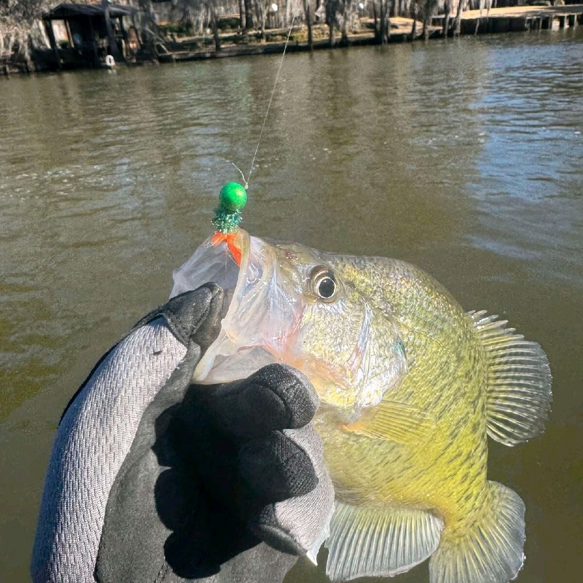 Super glow fish hunter