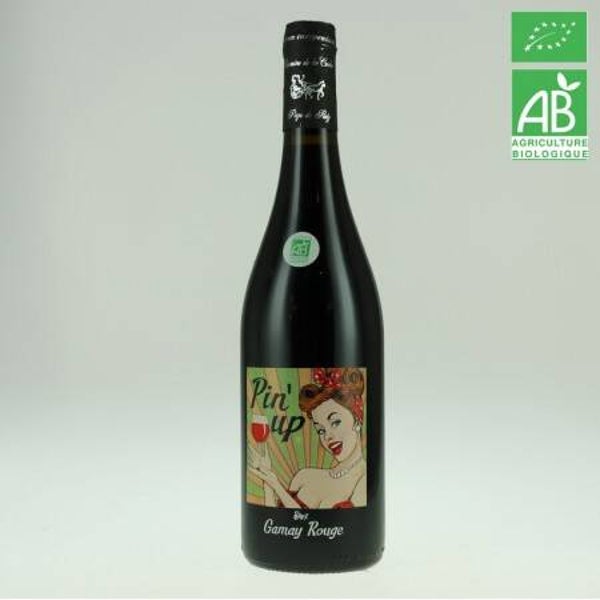 Dom.de la Coche Pin’UP Gamay igp Val de Loire 2024 rouge 75cl