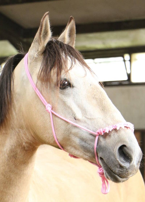 Rose pink touwhalster met strikjes