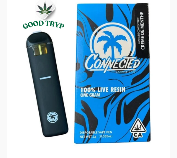 PLUMA WAX – CONNECTED «Creme de Menthe» (HIBRIDA)