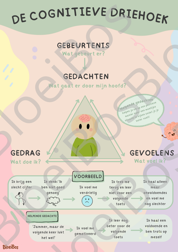 De cognitieve driehoek
