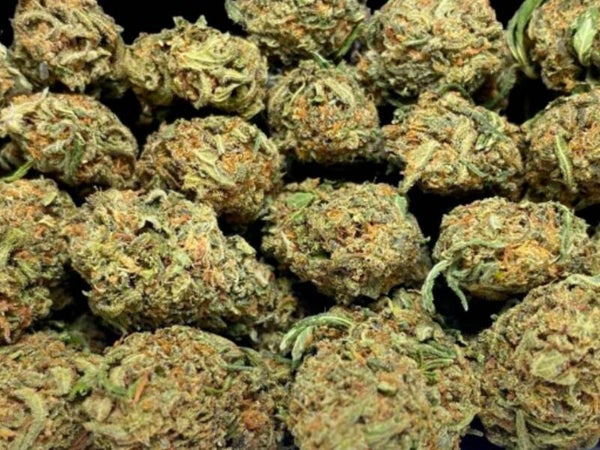 🟦Blue dream
