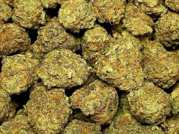 🕷️White Widow