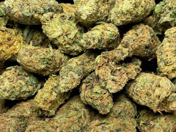🌲OG Kush