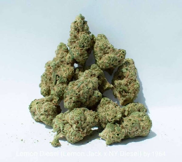 🍋Sour Diesel