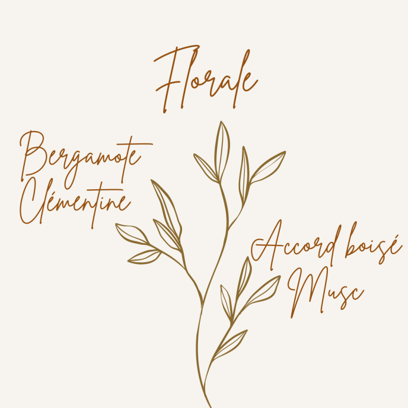 Pyramide olfactive fondant parfumé clémentine