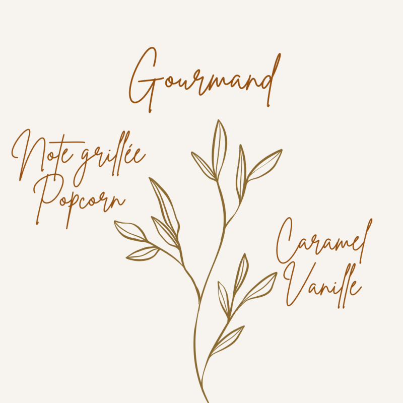 Pyramide olfactive fondant parfumé popcorn