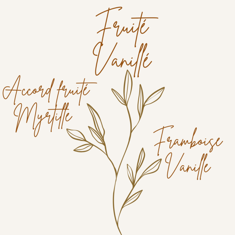 Pyramide olfactive fondant parfumé muffin myrtilles 
