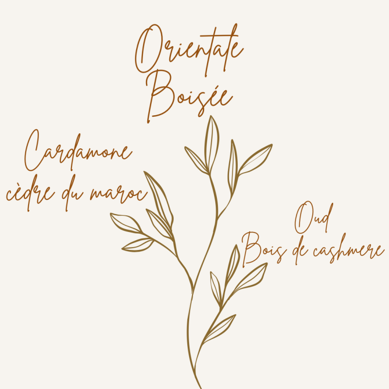 Pyramide olfactive fondant parfumé bois de oud