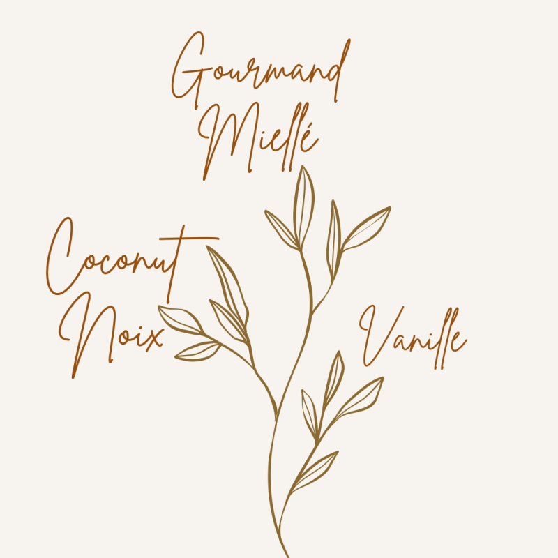 Pyramide olfactive fondant parfumé noix et miel