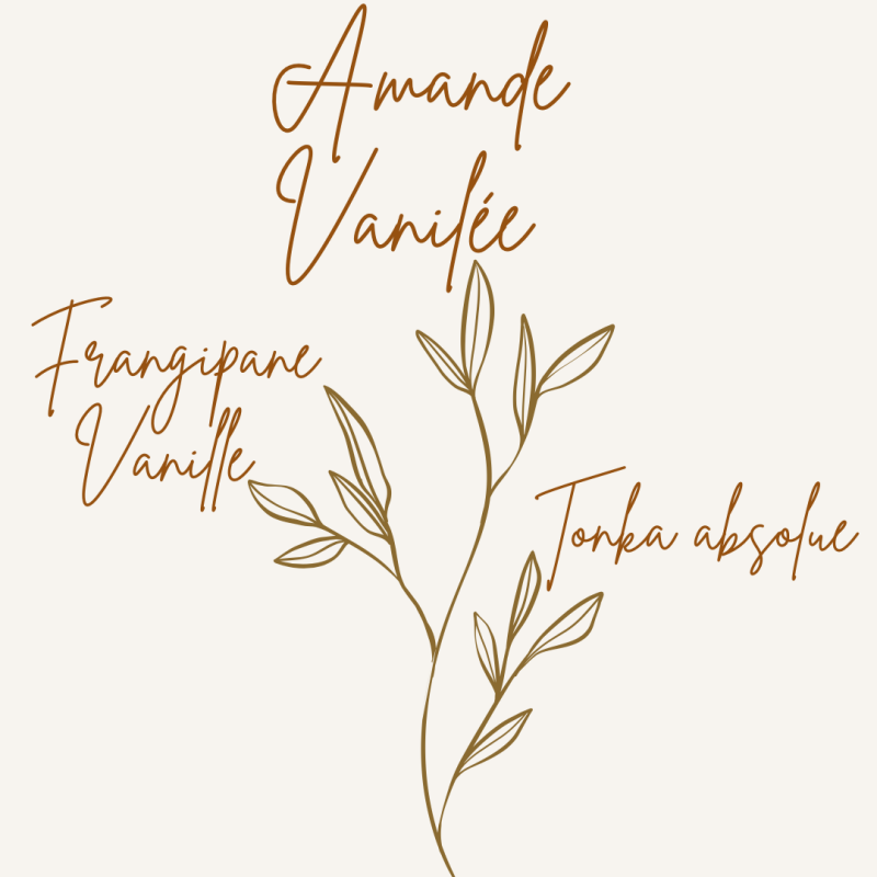 Pyramide olfactive fondant parfumé biscuit amande