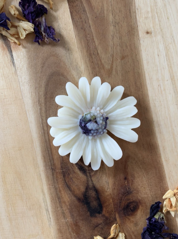 Marguerite Cachemire et soie