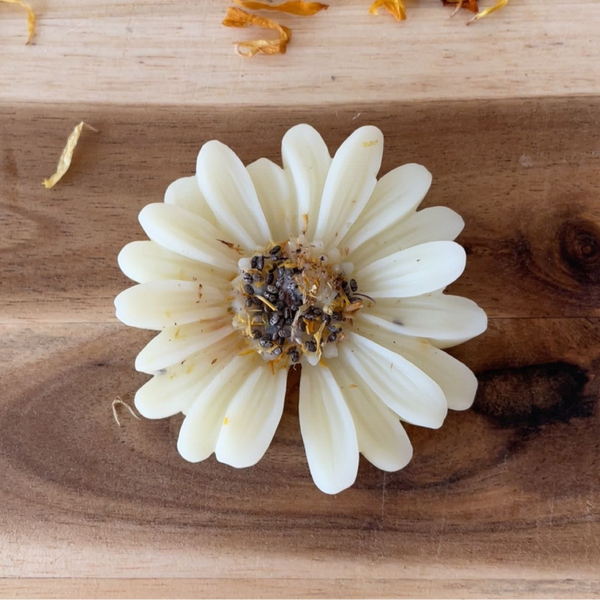 Marguerite   Monoï passion