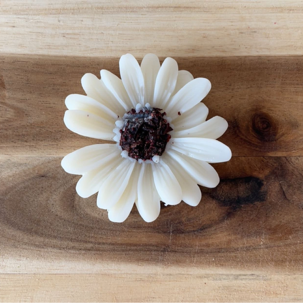 Marguerite  Pomme d’amour