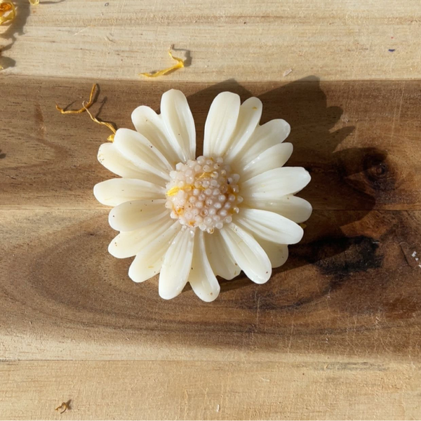Marguerite   Vanille patchouli