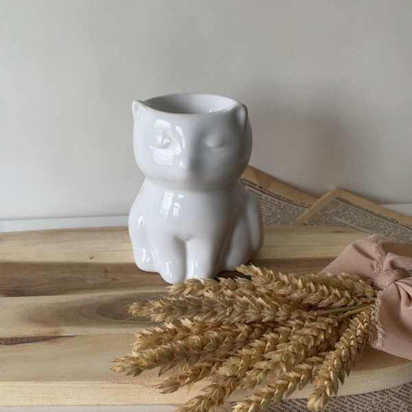 Brûleur  Chat blanc