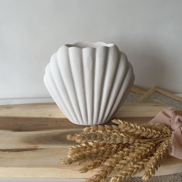 Brûleur   Coquillage