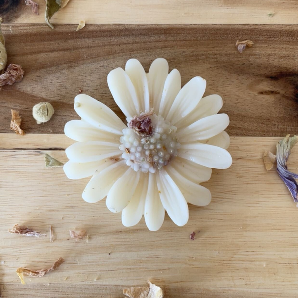 Marguerite   Pistache