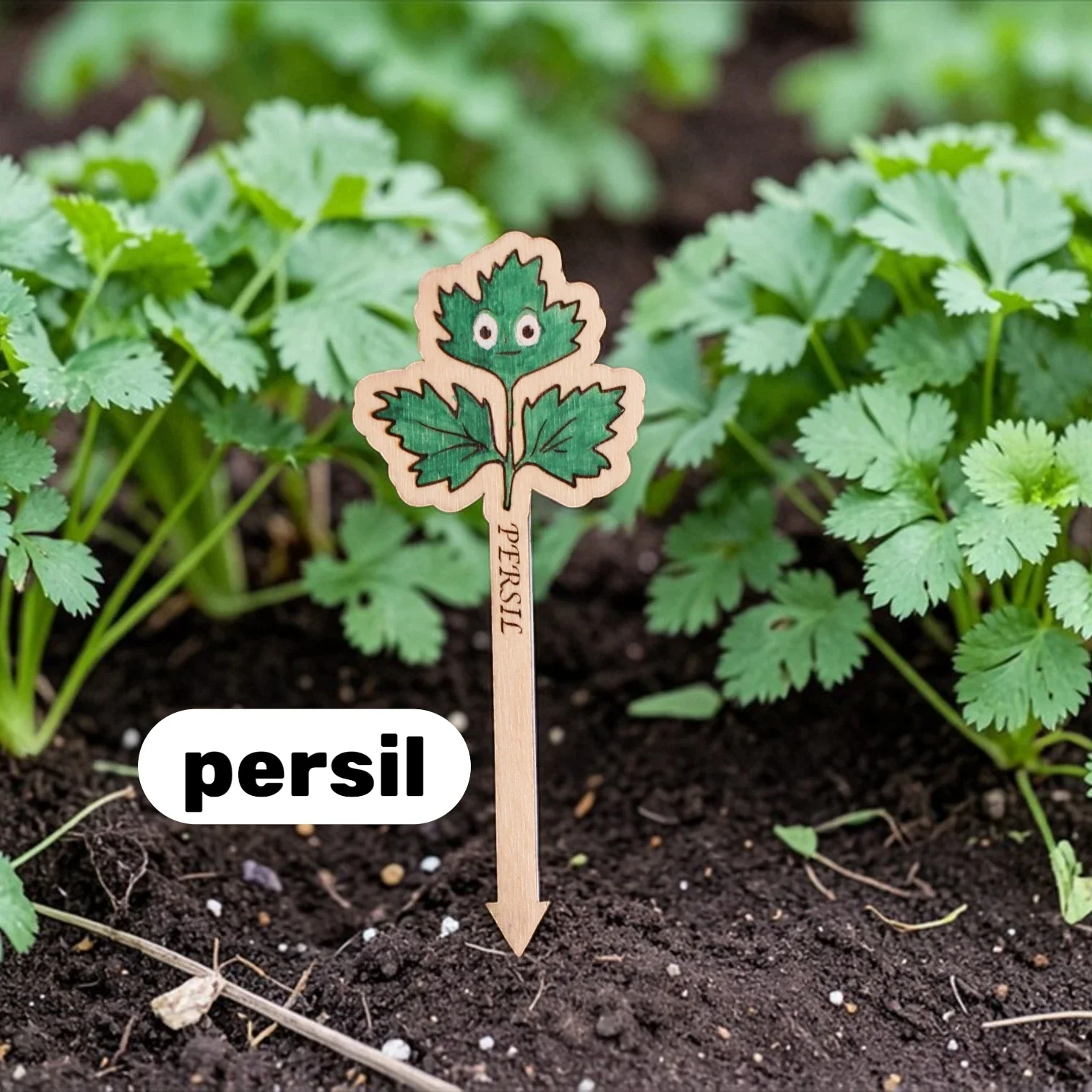 persil
