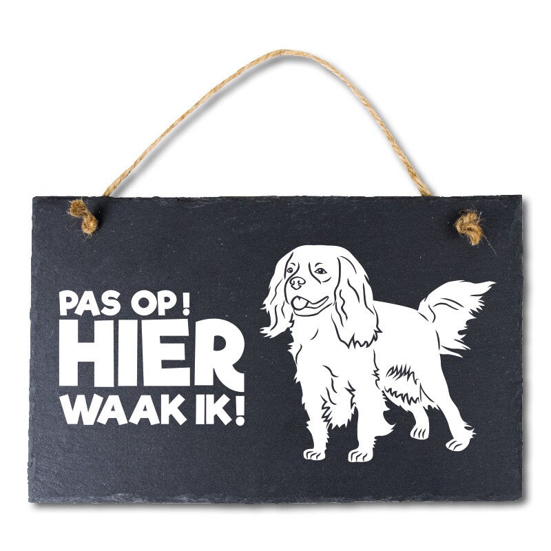 leisteen king charles 