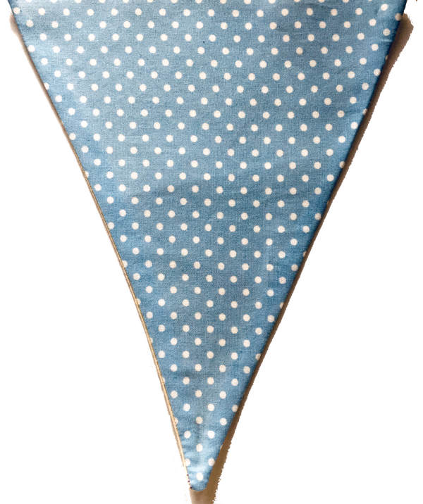 Pale Blue Spotty Plain Flag